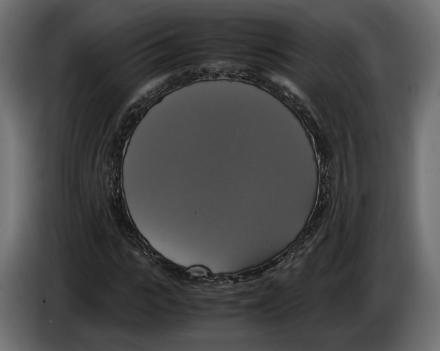 X0000086010919200704131824