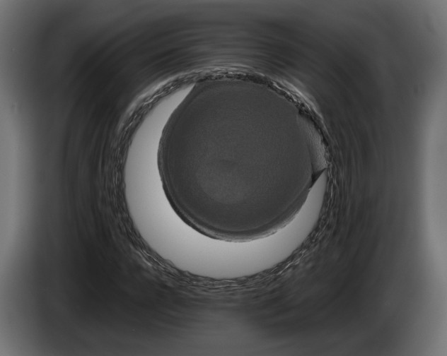 X0000086010920200704131824