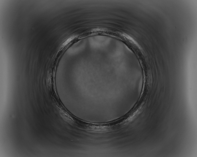 X0000086010921200704131824