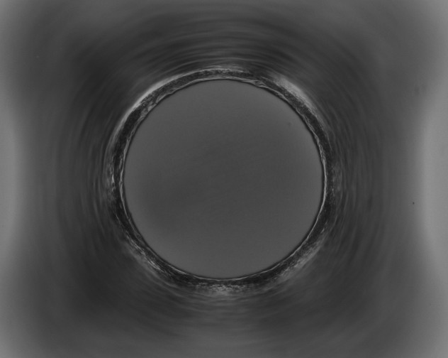 X0000086010923200704131824