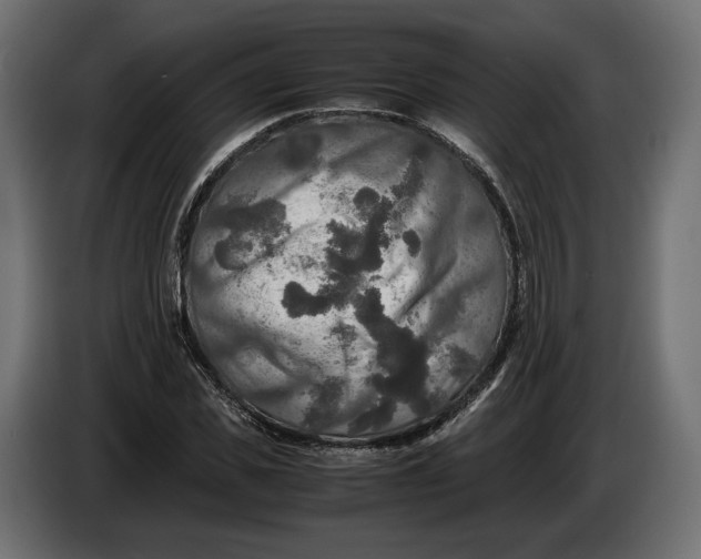 X0000086010925200704131824