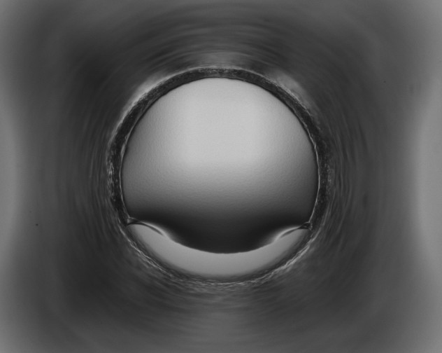X0000086010926200704131824