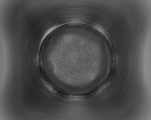 X0000086010928200704131824