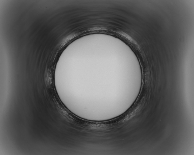 X0000086010929200704131824
