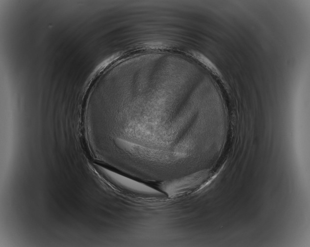 X0000086010930200704131824