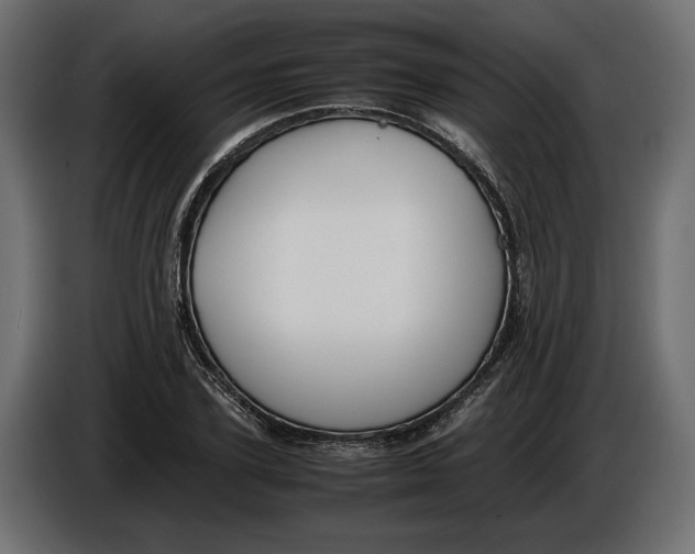 X0000086010931200704131824