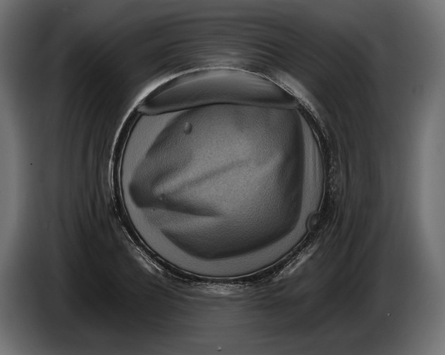 X0000086010932200704131824