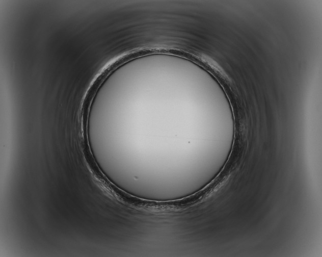 X0000086010934200704131824