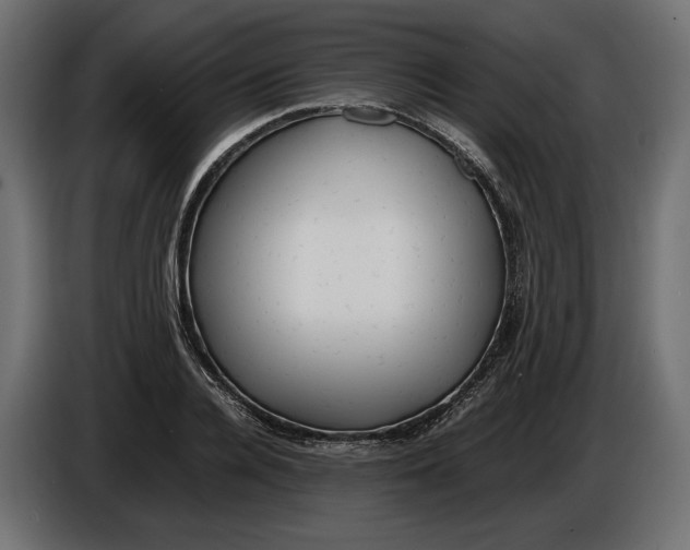 X0000086010936200704131824