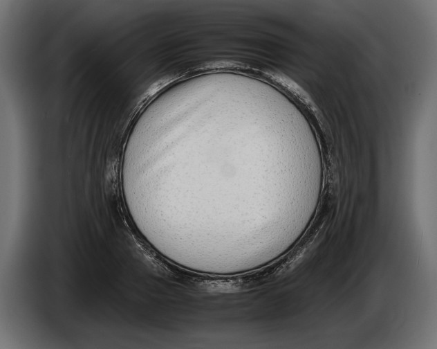 X0000086010937200704131824