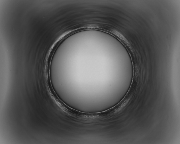 X0000086010939200704131824