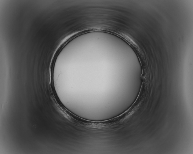X0000086010940200704131825
