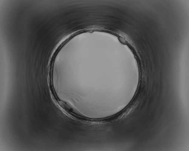 X0000086010941200704131825