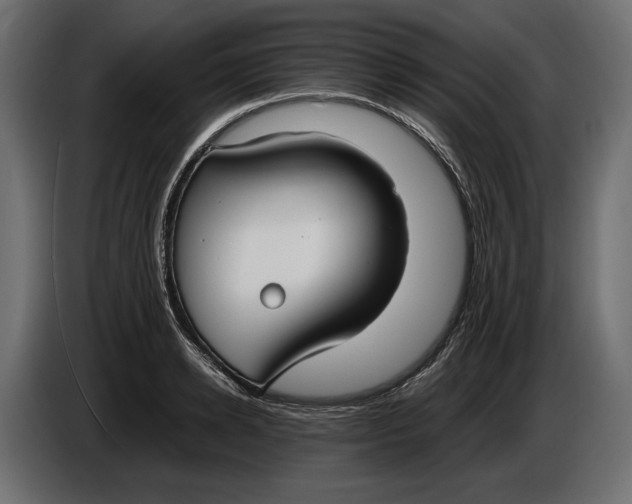 X0000086010942200704131825