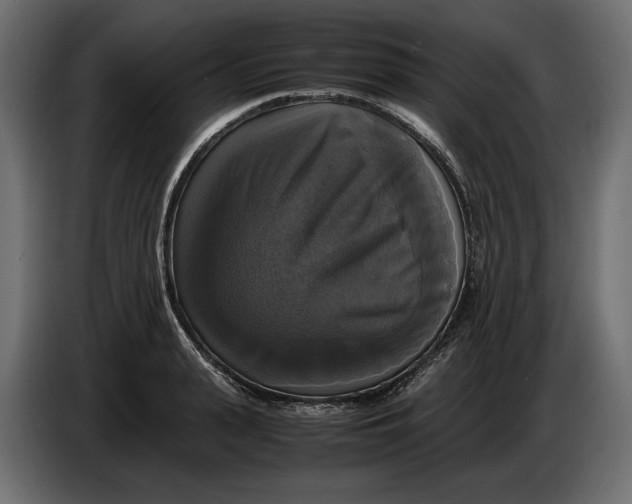 X0000086010943200704131825