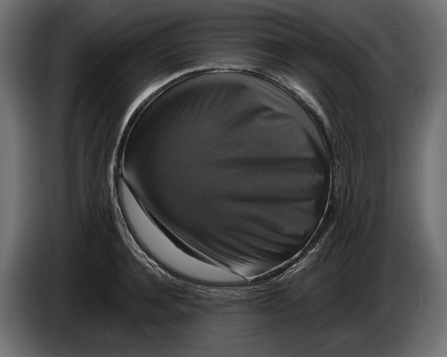 X0000086010944200704131825