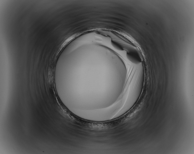 X0000086010945200704131825