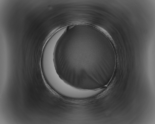 X0000086010946200704131825