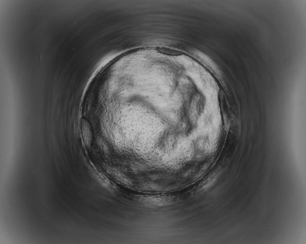 X0000086010948200704131825