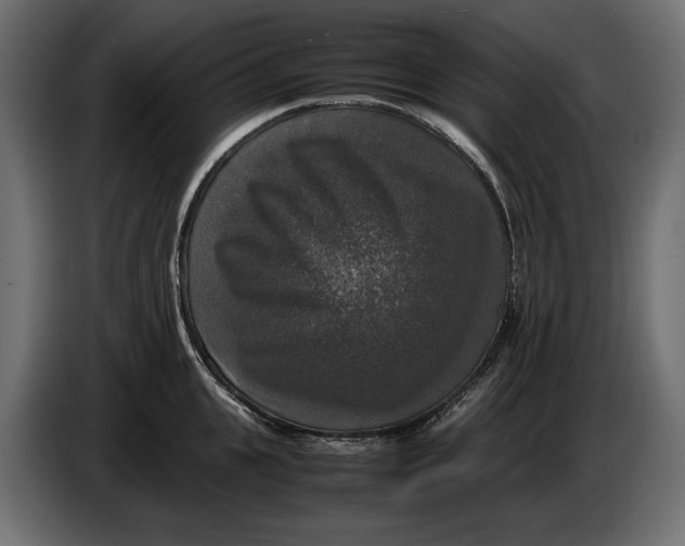X0000086010951200704131825