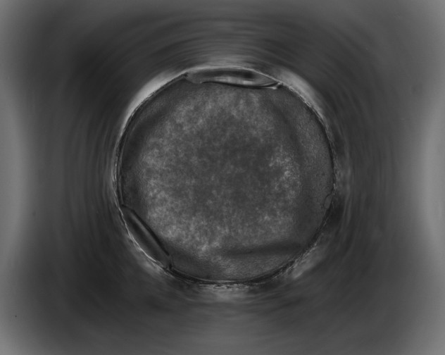 X0000086010952200704131825