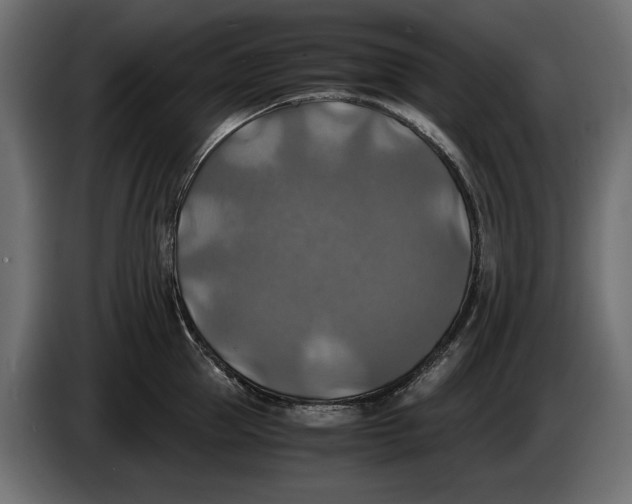 X0000086010953200704131825