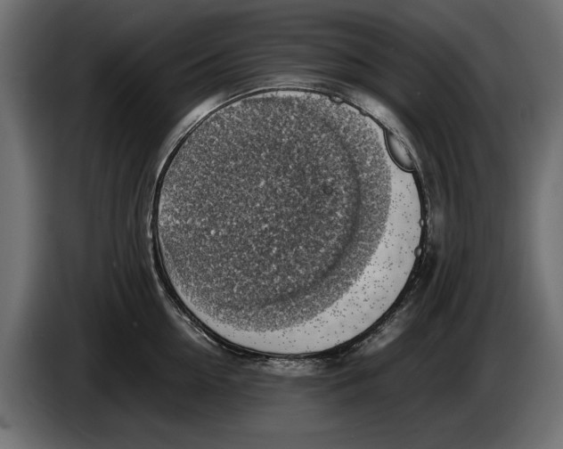 X0000086010954200704131825