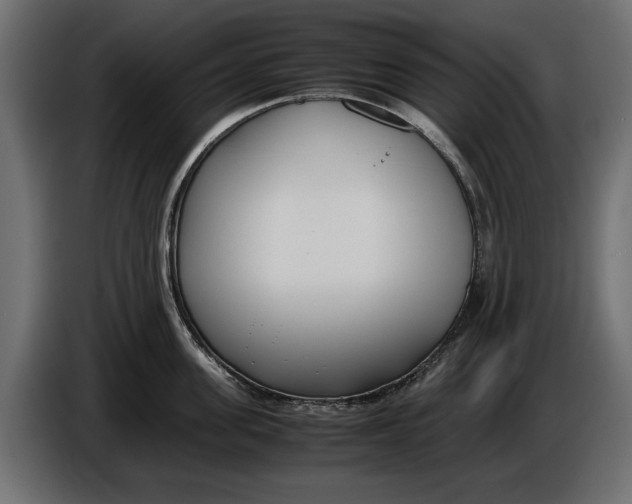 X0000086010955200704131825