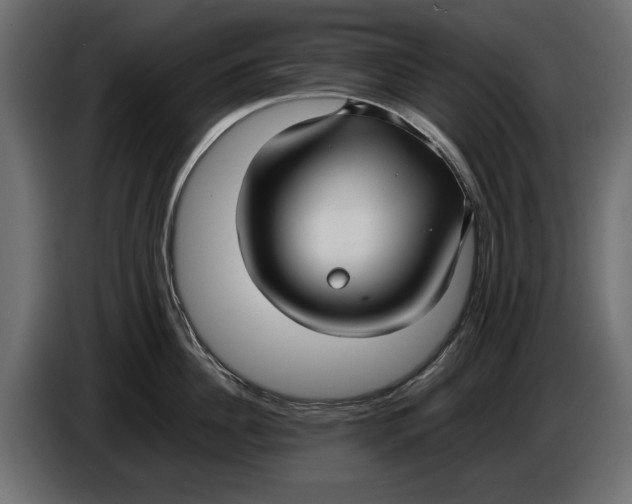 X0000086010956200704131825