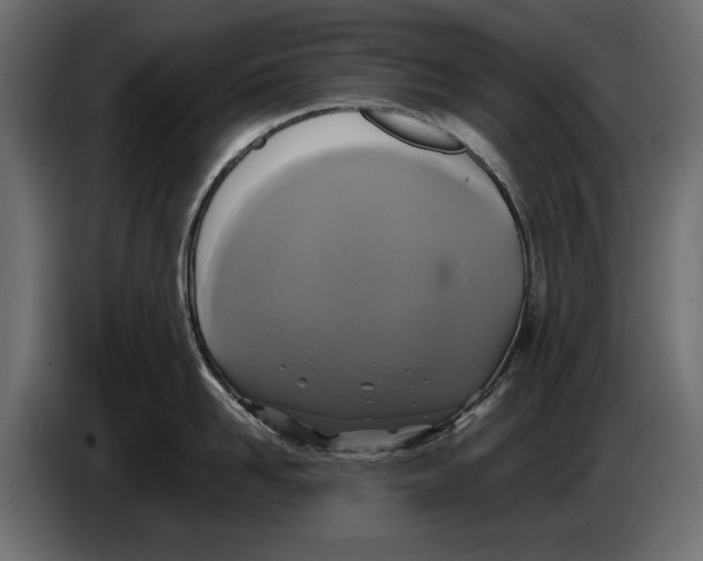 X0000086010958200704131825