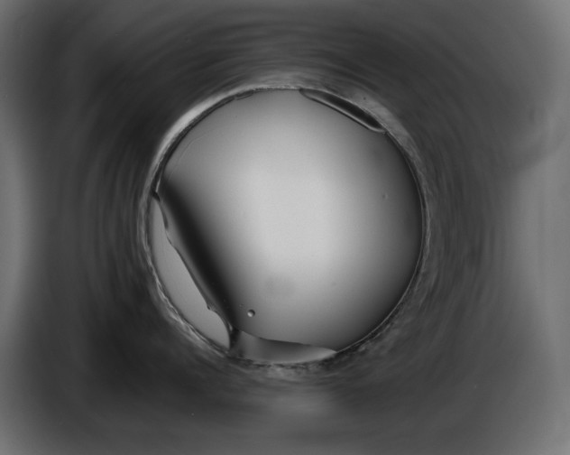 X0000086010960200704131825