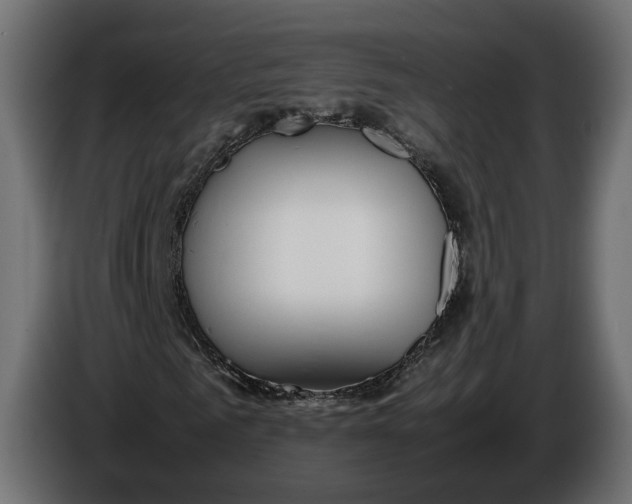 X0000086010961200704131824