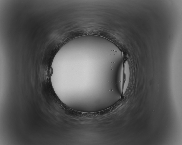 X0000086010963200704131824