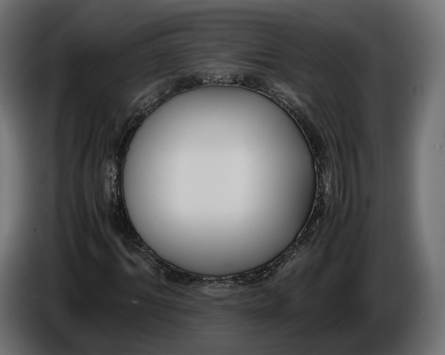 X0000086010964200704131824