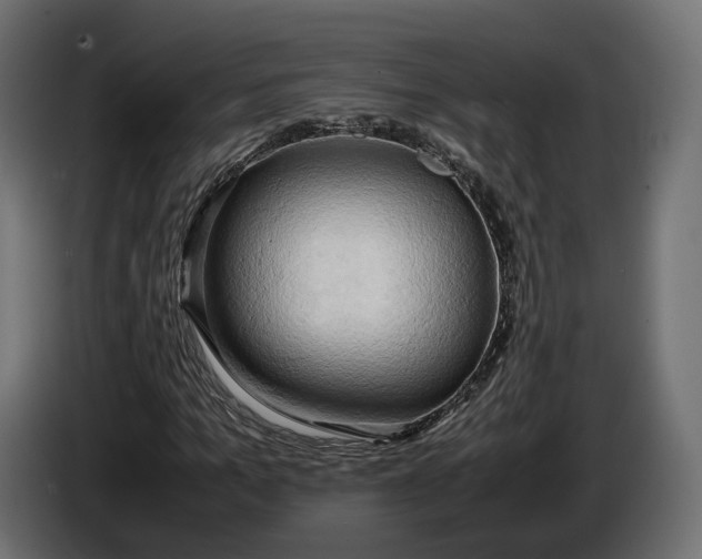 X0000086010965200704131824