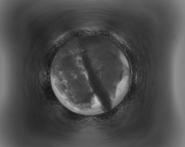 X0000086010966200704131824