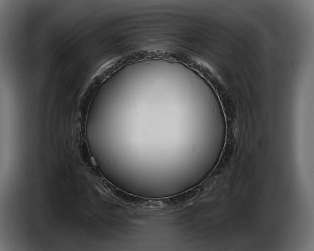 X0000086010968200704131824