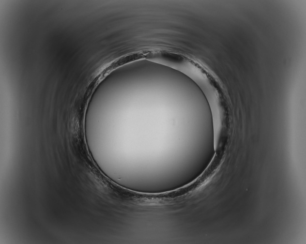 X0000086010969200704131824