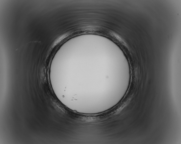 X0000086010970200704131824