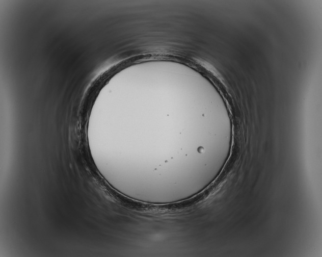 X0000086010971200704131824