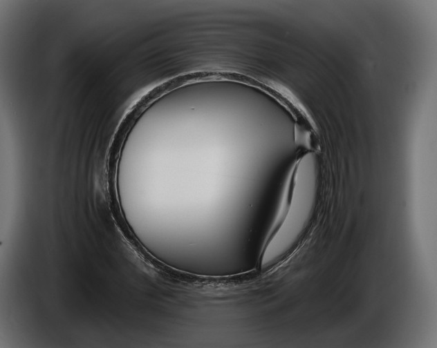 X0000086010972200704131824