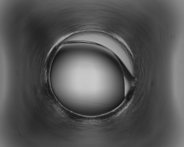 X0000086010973200704131824