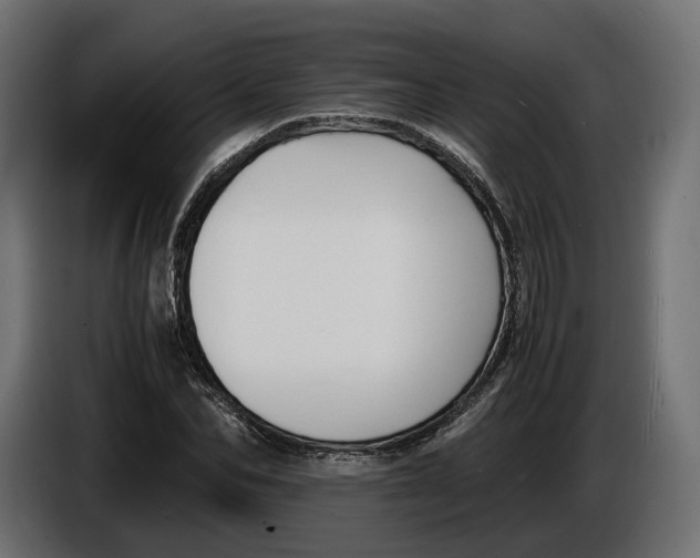 X0000086010974200704131824