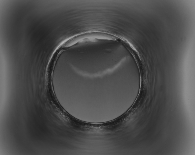 X0000086010975200704131824