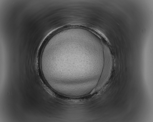 X0000086010976200704131824
