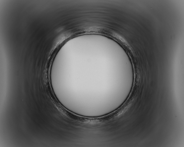 X0000086010978200704131824