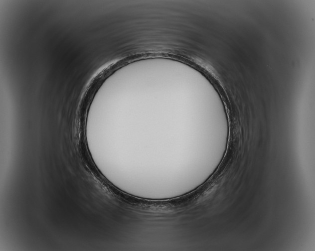 X0000086010979200704131824