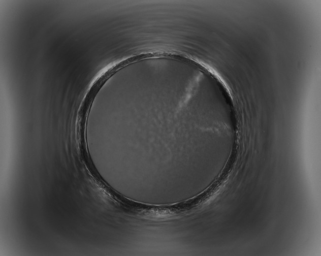 X0000086010983200704131824