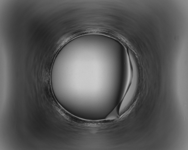 X0000086010985200704131824