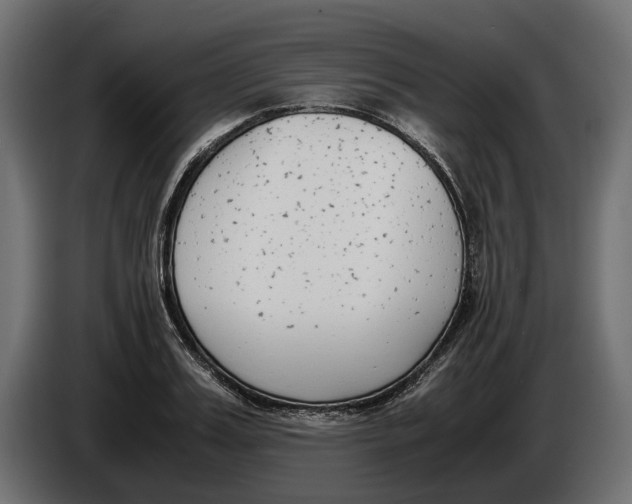 X0000086010987200704131824